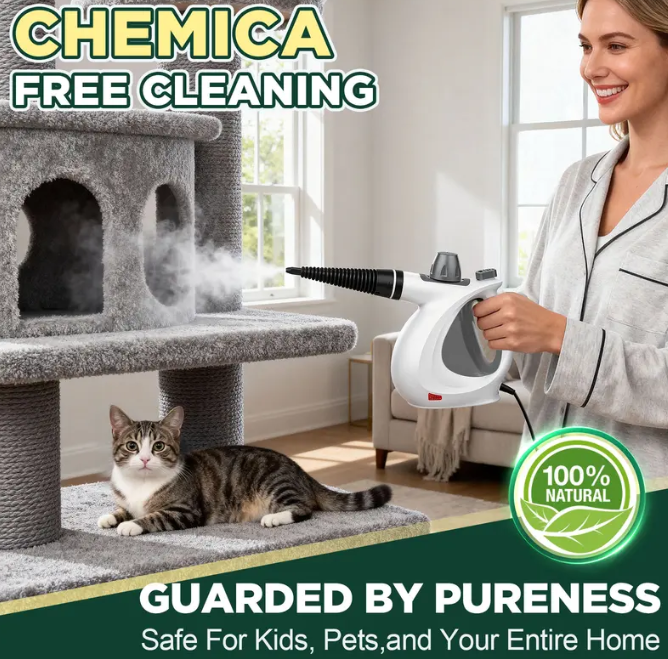 Phueut Handheld Steam Cleaner – High-Pressure Multi-Surface Steamer